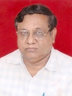 Sushil Goel-P.jpg
